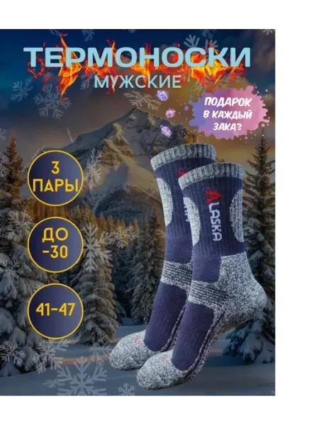 Термоноски мужские набор 3 пары ALASKA 365days