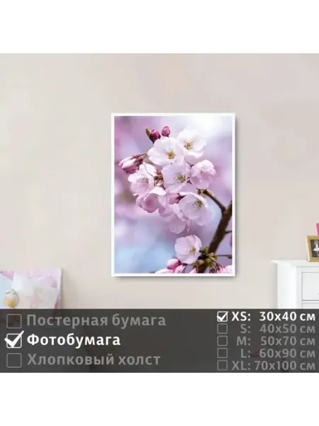 Постер на фотобумаге Ветка Нежных Цветов Яблони, 30х40 см ПолиЦентр