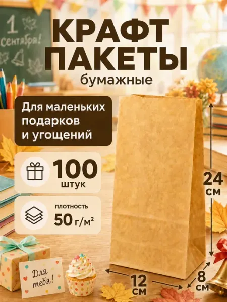 Крафт пакеты бумажные подарочные маленькие 12х8х24 см, 100шт IG Pack