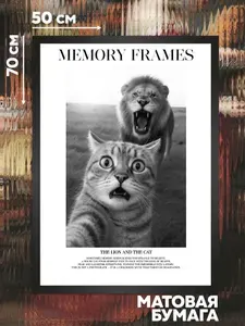 Постер фотография Кот и лев из серии Memory Frames - на стену принт, плакат для интерьера - Casa Paterna