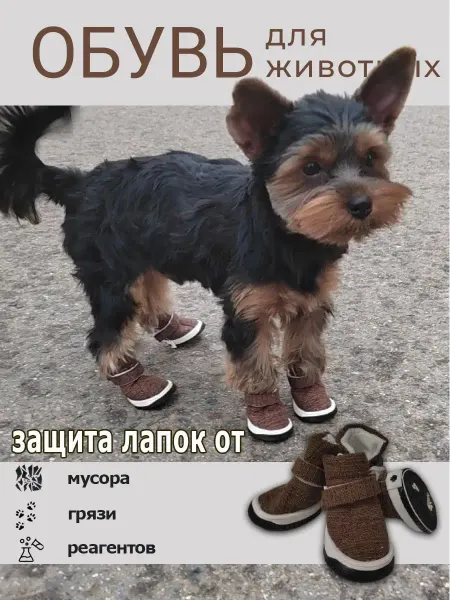 Cats&Dogs Летняя обувь для собак на липучке