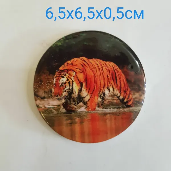 Изделие декоративное Магнит "Тигр" 6,5х6,5х0,5см, керамика, 3417К