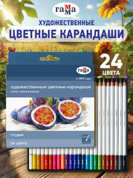 Карандаши цветные для рисования мягкие 24 цвета Гамма