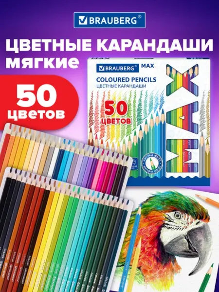 Набор цветных карандашей для рисования супермягкие 50 цветов Brauberg