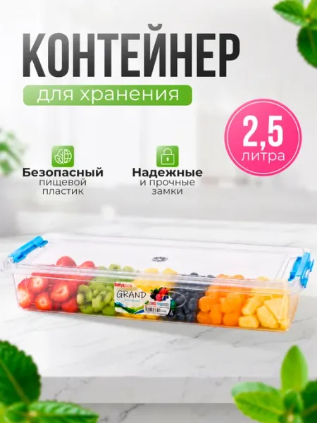Контейнер для хранения пластиковый с крышкой 2,5 л ELF plast