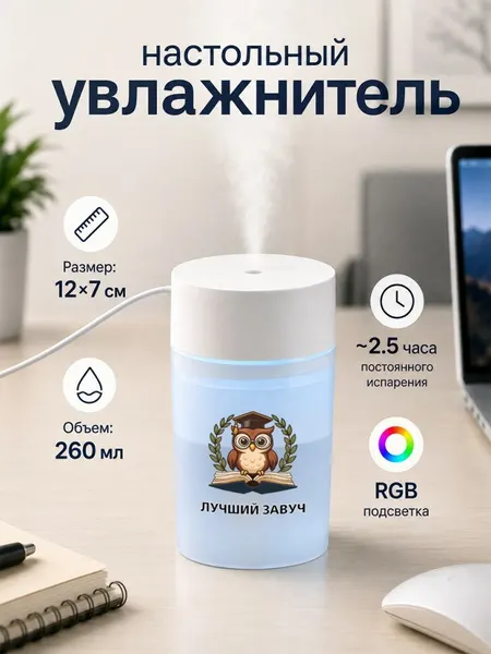 Настольный увлажнитель воздуха 260мл с надписью "лучший завуч"