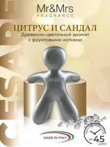Ароматизатор для автомобиля человечек Mr&Mrs Fragrance Cesare Цитрус и Сандал