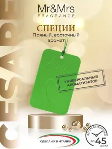 Ароматизатор в машину подвесной Mr&Mrs Fragrance Cesare саше Острые Специи