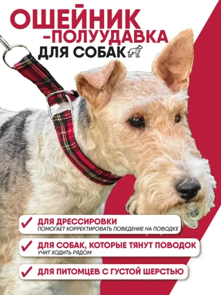Ошейник полуудавка с регулировкой для мелких и средних