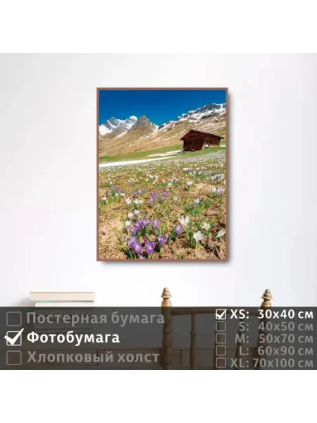 Постер на фотобумаге Весенние Цветы В Горах, 30х40 см ПолиЦентр
