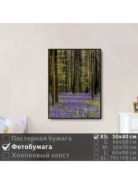 Постер на фотобумаге Весенние Цветы В Лесу, 30х40 см ПолиЦентр