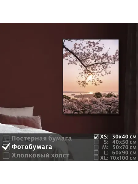 Постер на фотобумаге Весенняя Сакура На Закате, 30х40 см ПолиЦентр