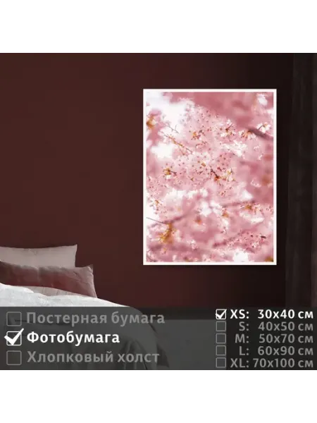 Постер на фотобумаге Ветки Сакуры Розового Цвета, 30х40 см ПолиЦентр