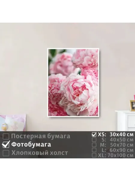 Постер на фотобумаге Бело Розовые Пионы, 30х40 см ПолиЦентр