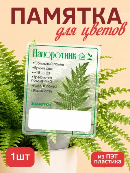 Памятка по уходу за цветами Папоротник KRASNIKOVA