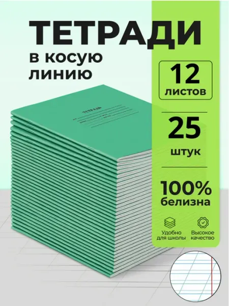 Тетрадь школьная в косую линейку 12 листов 25 штук