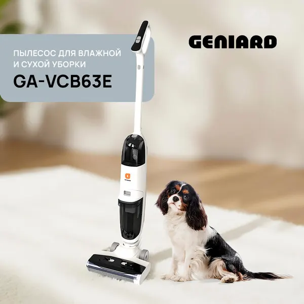 Ручной пылесос Geniard GA-VCB63E с зарядной станцией для сухой и влажной уборки