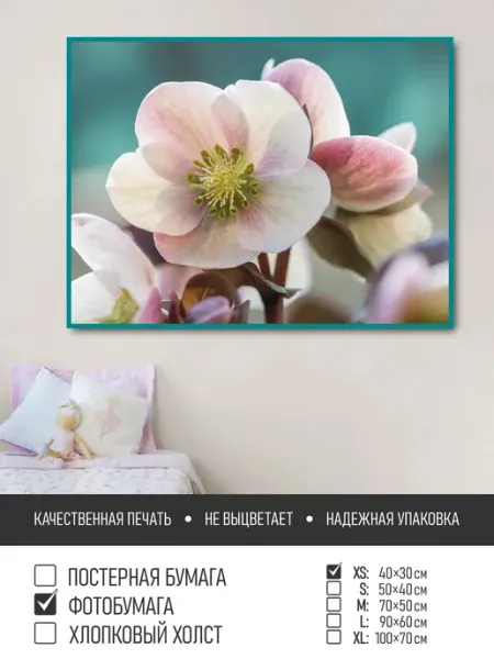 Постер на фотобумаге Розовые соцветия яблони, 40х30 см ПолиЦентр