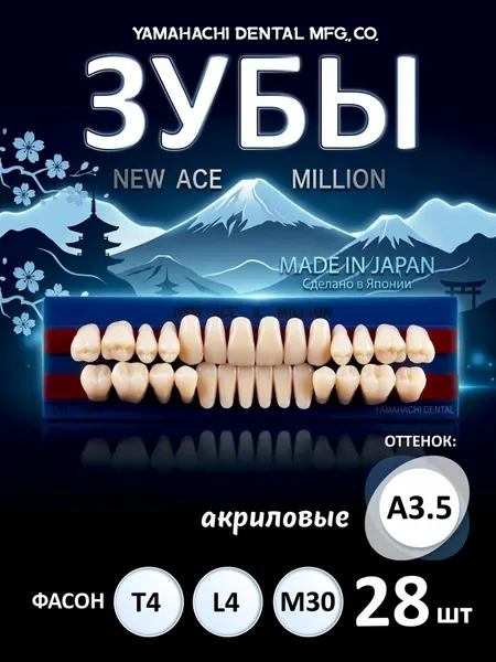 Зубы акриловые, вариант исполнения: NewАсе -двухслойные, Anterior фронтальные верх фасон T4, низ ф. L4, Million - однослойные, Posterior (фас. M30,) цвет A3.5; полный гарнитур 28 шт. на планках.