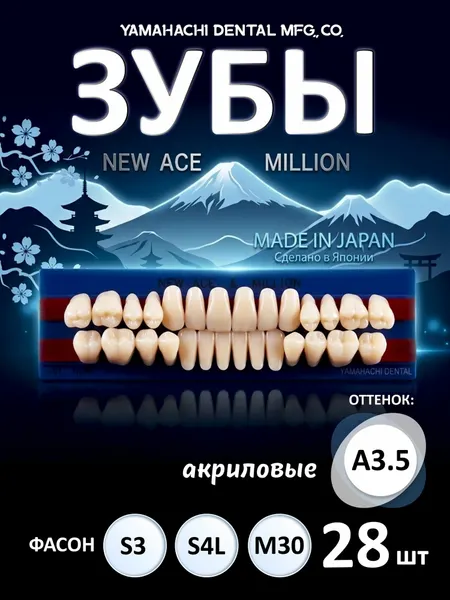 Зубы акриловые, вариант исполнения: NewАсе -двухслойные, Anterior фронтальные верх фасон S3, низ ф. S4L, Million - однослойные, Posterior (фас. M30,) цвет A3.5; полный гарнитур 28 шт. на планках.