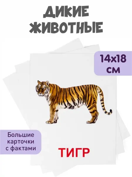 Обучающие карточки Домана "Дикие животные" Всезнайка KoroBoom