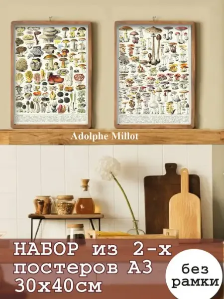 Постер в кухню Винтажный Botanic ART Мастерская АРТ-рит