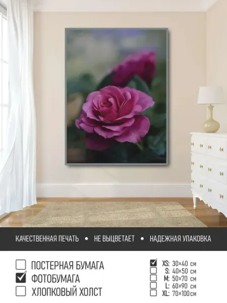 Постер на фотобумаге Роза бордо на размытом фоне, 30х40 см ПолиЦентр
