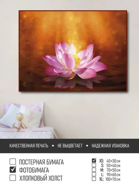 Постер на фотобумаге Розовый лотос в лучах света, 40х30 см ПолиЦентр
