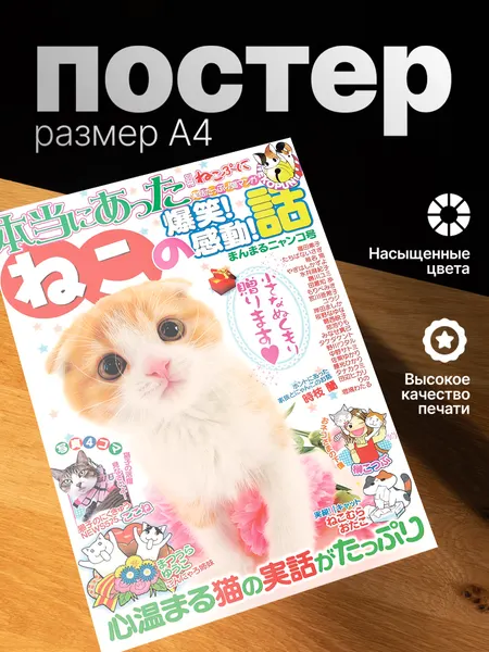 Постер ZEKEKS Японская обложка, на стену, без рамы, 29x21 см, цифровая печать