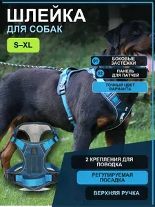 Анатомическая шлейка для собак средних и больших крупных пород и размеров собак регулируемая(XL-68-93-голубой-небесно-голубой)