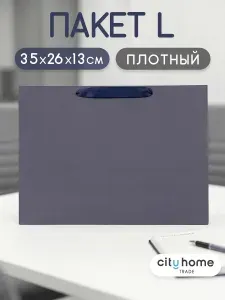 Пакет подарочный горизонтальный мужской на 1 сентября, 35х26х13 см, 1 шт