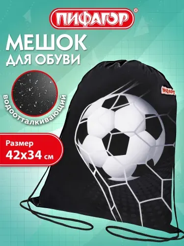 Мешок для обуви Пифагор, 1 отделение, 42х34 см, Ball kick
