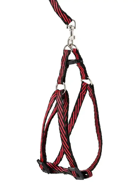 CHOKERZ Шлейка для кошек, с поводком, комплект быстросъемный
