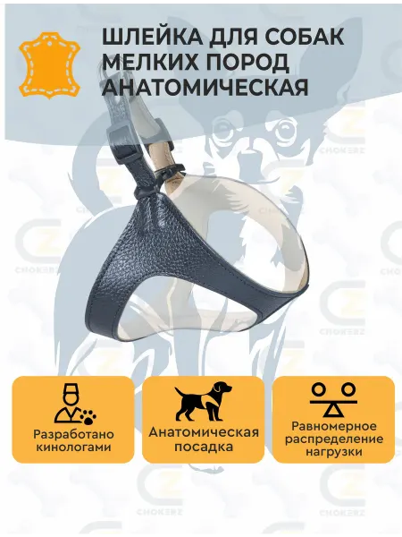CHOKERZ Шлейка для собак мелких пород анатомическая кожаная