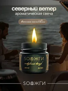 Ароматическая свеча SOЖГИ "Северный ветер" с двойным деревянным фитилем из 100% соевого воска, 100 мл, 24 часа горения, в подарочной упаковке