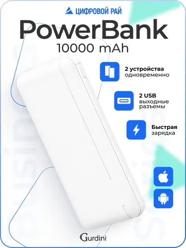 Повербанк 10000 mAh, внешний аккумулятор Powerbank Business Series , павербанк с USB и Type-C , пауэрбанк