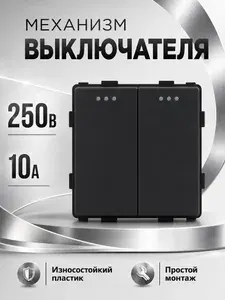 Механизм выключателя двухклавишный 10А 250В Черный