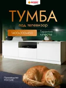 Тумба под телевизор напольная закрытая белая с ящиком 140 х 30 х 45 см белая Феликс Уцененный товар