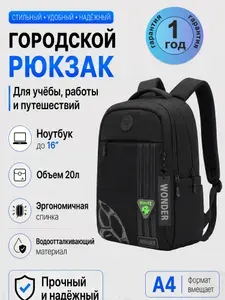Рюкзак школьный для подростков,спортивный для школы и тренировок,для ноутбука 16,вмещает A4,черный,3 отделения,20л