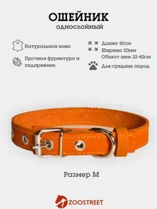 Ошейник для собак мелких пород кожаный, однослойный, 20мм, 45см, с подпряжником M