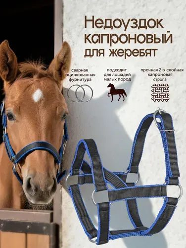 Недоуздок для жеребят, двойной капроновый, 25 мм