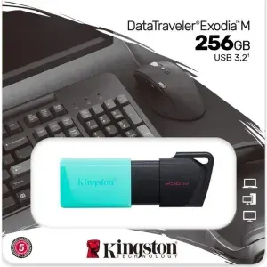 USB флеш накопитель 256 Gb Kingston DataTraveler Exodia M DTXM/256GB
