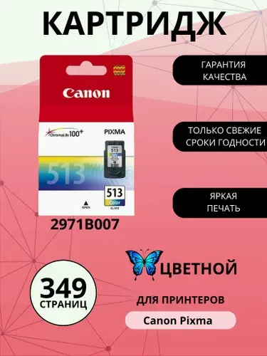 Картридж CANON CL-513, цветной (Colour), увеличенный, для струйного принтера (2971B007)