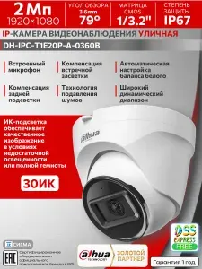 IP-камера видеонаблюдения Dahua DH-IPC-T1E20P-A-0360B 2Мп 3.6мм CMOS PoE уличная микрофон