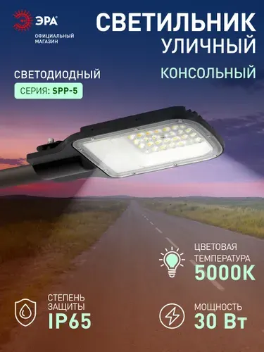 Светильник светодиодный консольный уличный на столб ЭРА SPP-503 30Вт 3000лм 5000К IP65 КСС Ш