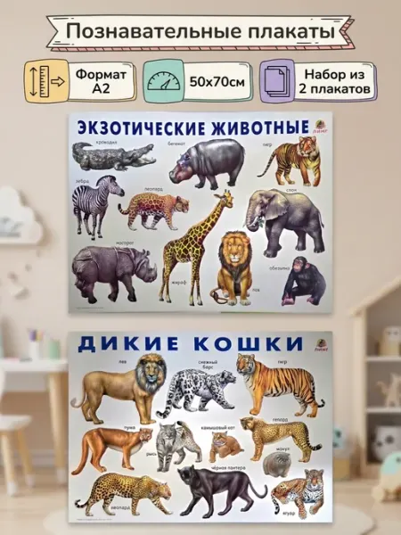 ЛИНГ Дикие животные плакаты для детей