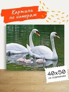 Картина по номерам Hobruk "Лебединная семья" на холсте на подрамнике 50х40, раскраска по номерам, животные / кот / собака