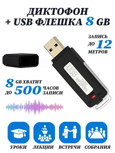 Цифровой аудио мини диктофон для записи голоса и разговоров + USB флешка 8 ГБ