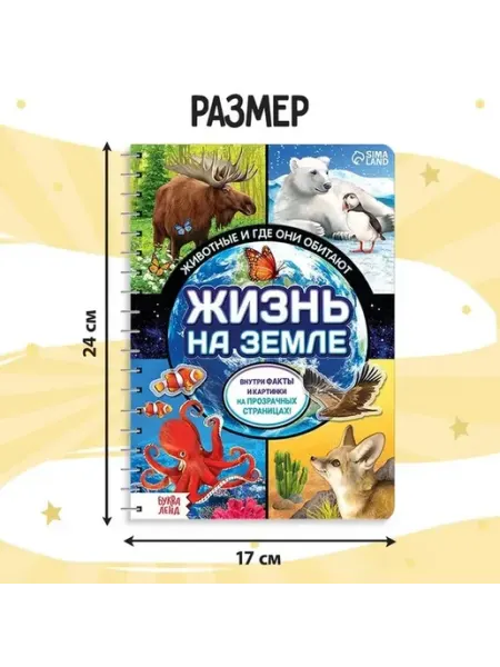 Обучающая книга о животных и природе для детей