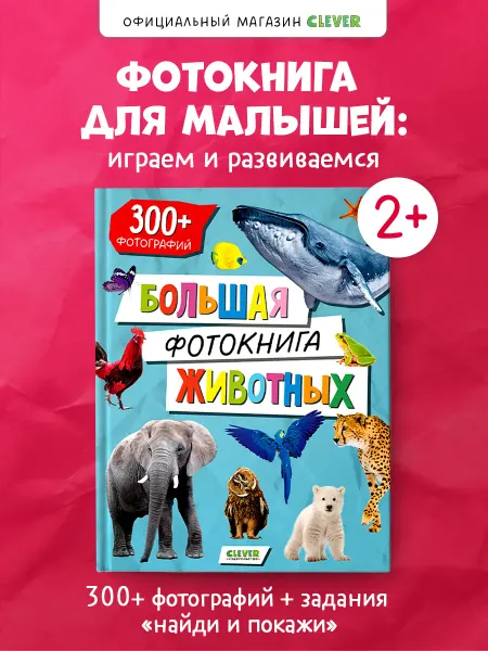 Издательство CLEVER Первые книжки малыша. Большая фотокнига животных